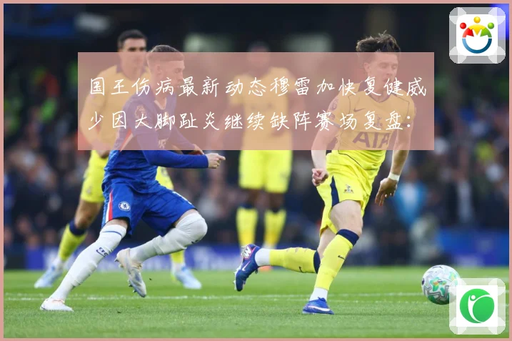 国王伤病最新动态穆雷加快复健威少因大脚趾炎继续缺阵赛场复盘：最新赛事动态与深度分析